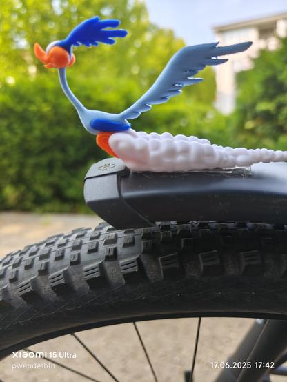 Der Roadrunner auf dem Front-Schutzblech.