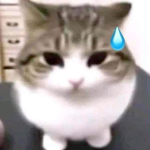 Same cat as before, but in Real Life, a more blurry Real Life, but it's Real Life... Real Life. The waterdrop is still there too.