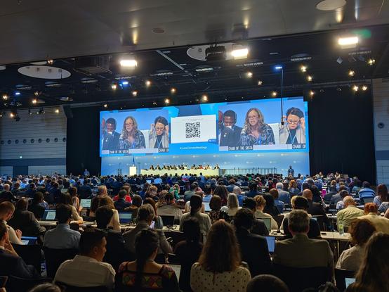 Opening plenary of the Subsidiary Bodies