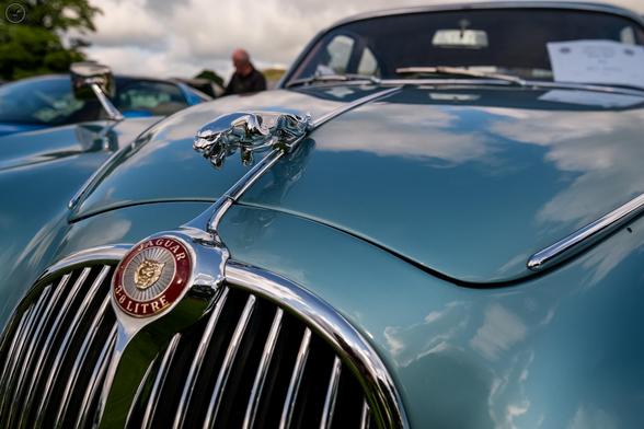Jaguar car grill, hood ornament and bonnet