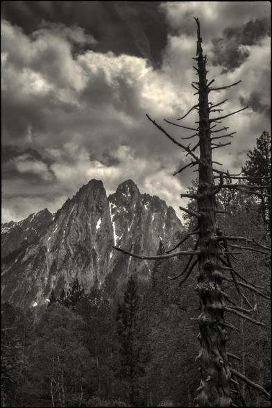 CAT
No li queda cap fulla,
el vent se les va endur.
I tanmateix segueix
veient les muntanyes
i els cims més alts.

OC
I a pas pus de fuèlhas,
lo vent los emportèt.
E pasmens contunha
per veire las montanhas
e los pics mai nauts.