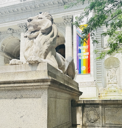 Color photo of one of the large stone lion statues in front of the 42nd St. library it is taken from the side looking up at its face and behind it is a long pride flag that says "protect the freedom to read". There are some tree branches covering a bit of it on the right side and some other stonework further back