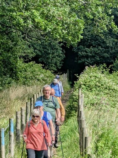 Group of Ramblers walking down the narrow right of way onto Ystradwaun