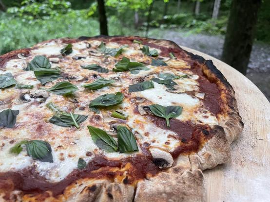 A somewhat more regularly shaped sourdough pizza with mushrooms, garlic scapes, and basil.