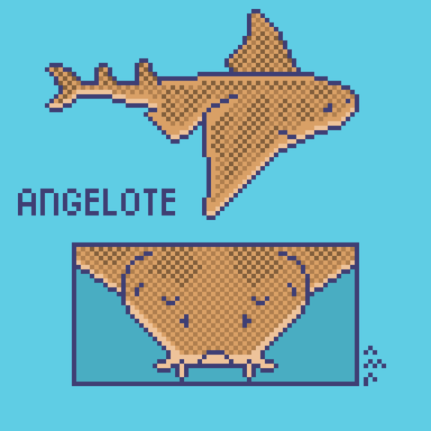 Ilustración pixelizada de un angelote o tiburón ángel, en la parte superior de la imagen aparece el animal de perfil visto desde arriba, con sus características aletas triangulares, y en la parte inferior aparece un detalle de su cabeza de frente enmarcado. La palabra "Angelote" también aparece en la imagen.