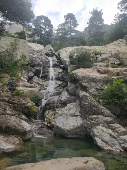 Photo d'une cascade entourée d'arbres