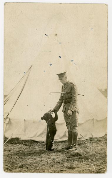 Harry and Winnie on the Salisbury Plain. He appears to be feeding her. This is the photograph that was used to create the statue of Harry and Winnie that exists in Winnipeg, MB, and in London, England.
(courtesy Colebourn Family Archive)