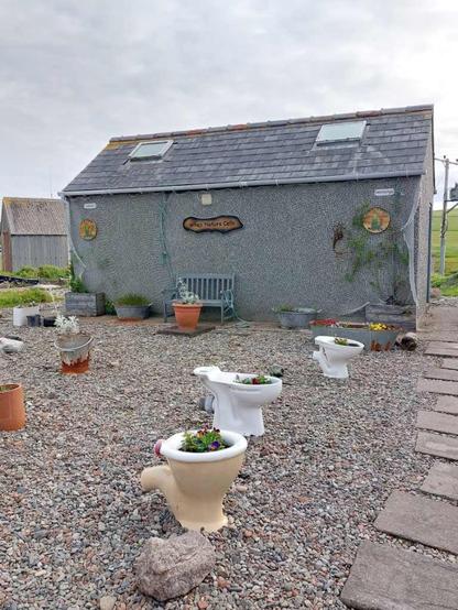 A grey toilet building from the outside. The wall is decorated with a fishnet, ladies/gents are indicated by the inscrption & picture Mermaids/Mermen. In front of the building several white toilet bowls planted with flowers stand on a large area filled with gravel.