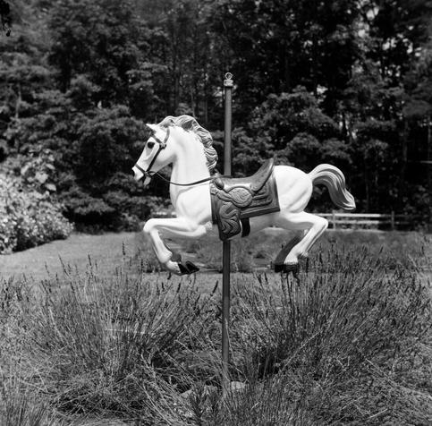 black and white image of a carousel horse displayed in a garden