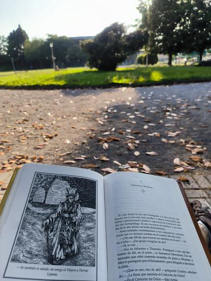 Una imagen de un libro abierto apoyado en mis rodillas en un banco de un parque, con hojas caídas alrededor. El libro muestra una ilustración en blanco y negro de una figura con una túnica y un bastón. El texto en la página es parte de una narrativa de fantasía o aventura. El fondo borroso muestra un parque soleado con árboles y caminos. La escena transmite una sensación de tranquilidad y paz.
