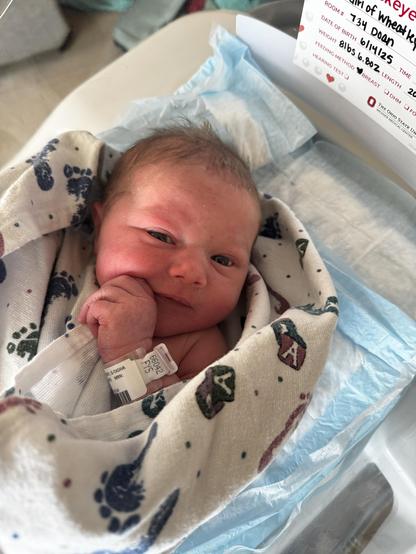 A newborn baby, swaddled in a patterned blanket, is lying in a hospital bassinet. The baby is looking up with a slight smile and has a hospital wristband.