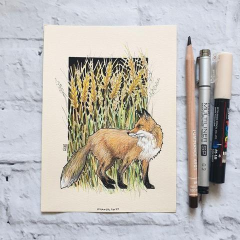 A small drawing of a red fox with a field of wheat in the background. The drawing is on cream toned pastel paper.
Famed for their cunning and stealth, these orangey-red dogs with their bushy tails can be seen in towns and the countryside. They come out mostly at night but can also be seen during the day. They are the UK's only wild member of the dog family.
An original art work
Colour pencil and mixed media on acid free toned artist paper
5 by 7 inches (12.7 by 17.8 cm).
Sold unframed