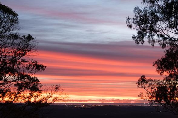 A bright pink dawn. Smooth, elongated clouds cover the lower half of the sky, lit an almost uniform bright pink by a sunrise. On the horizon the clouds are blazing gold, lit from behind. Below again, the distant sea and shoreline are still dark,  a bright line of pinpoint lights marking the coastal strip. On left and right, very close, two half-tree outlines in silhouette frame the picture with their own beauty. A gift.