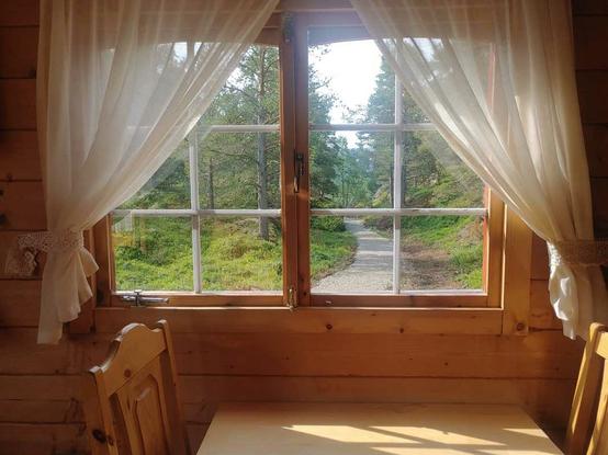 Wooden Window with white curtains, obviously of a wooden house and wooden chairs and table in front of it.
A beautiful sunny day and the view follows a path into a forest right outside the house.
(Cabin at a camping in Norway)