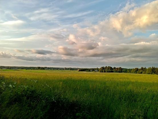 View over a meadow. The nearby grasses and flowers are already in the shade of some trees, the distant ones lit up by the setting sun. The low clouds are lit from the side and contain some rain. In the distance a neighbouring homestead with a few white plastic wrapped hay bales on a field. Some forest towards the right.