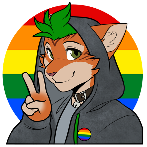 Daniel/Cobalt. An anthro red tabby house cat with green eyes and neon green hair.
He's wearing a charcoal hoodie with the hoodie flipped up, a light grey shirt, a brown leather collar with a silver bell and a round rainbow pride pin on his hoodie. The background is a rainbow flag.
He showing the peace sign with his fingers.
Daniel's orientation is homosexual.