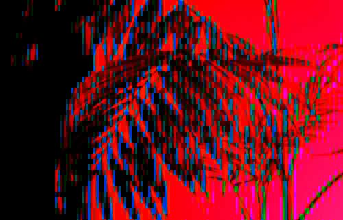Helecho. Glitch Art
