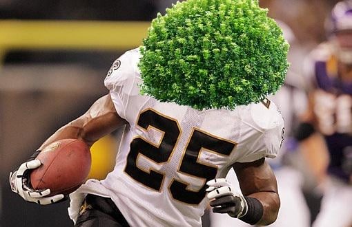 Reggie Bush