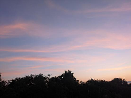 L'immagine mostra un cielo al tramonto con sfumature di rosa e viola che si fondono dolcemente. Le nuvole sono sottili e allungate, creando un effetto di striature nel cielo. Nella parte inferiore dell'immagine, si intravede la sagoma scura degli alberi