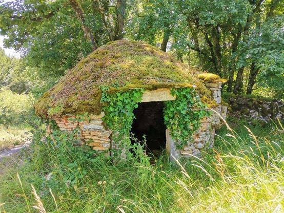 Une cazelle (cabane circulaire en pierre) au toit couvert par la mousse. Du lierre pend en guirlande de part et d'autre de son entrée. Devant, des hautes herbes. Derrière, des arbres. À gauche, un chemin.