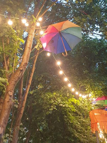 Part of the decoration in the dark: a colourful umbrella hanging in a tree, with a light bulb chain across the picture.