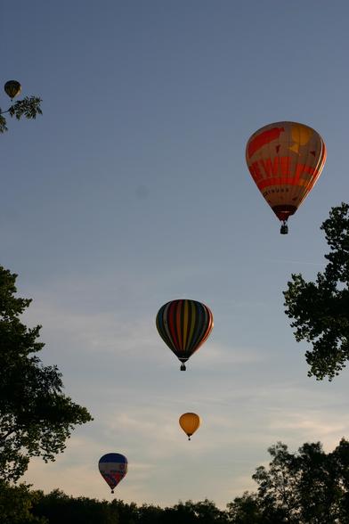 Photo verticale. Encadrées en bas par des ramures d'arbres, on aperçoit 4 montgolfières, à différentes altitudes, de différentes couleurs dans une lumière de début de soleil couchant.
Coupe d'Europe de montgolfières - Mainfonds - Charente - France - 08/2017