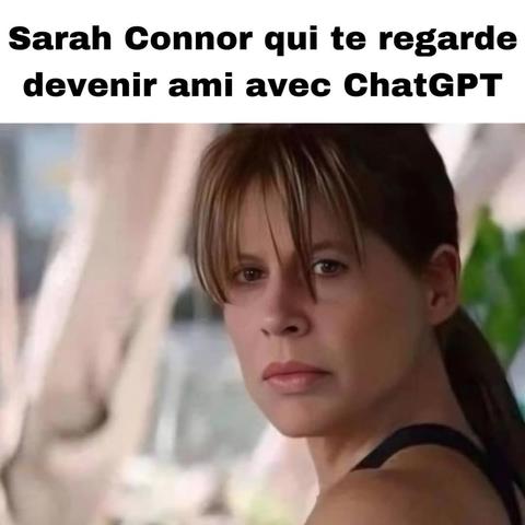 Portrait de l'actrice Linda Hamilton qui joue le rôle de Sarah Connor dans les films Terminator, où ça dit que 'Sarah Connor qui te regarde devenir ami avec chatgpt '