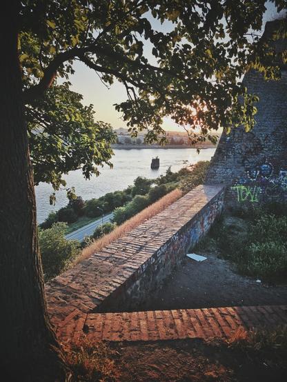 A slightly high-angle, eye-level, portrait orientation photo captures a view over a waist-high brick wall bottom and center, and a taller wall in the right side of the photo, part of the Petrovaradin Fortress in Novi Sad, through tree branches and alongside a tree trunk on the left side, framing the photo, towards the Danube River at sunset. The sun, partially obscured by the leaves of the tree, casts a warm glow over the scene. The brick wall is in the midground, with some graffiti visible on the wall to the right. Beyond it, the wide Danube River stretches across the frame, with an old bridge pylon in the middle of the river, and the faint outline of Novi Sad on the far bank. The sky above the horizon is bright with the setting sun.