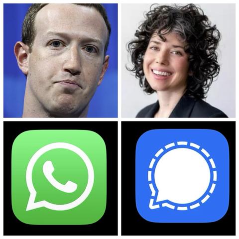 Eine Collage mit vier Bildern: links oben Mark Zuckerberg, links unten das grüne Logo von Whatsapp, rechts oben Meredith Whittaker, darunter das blau-weiße Logo von Signal