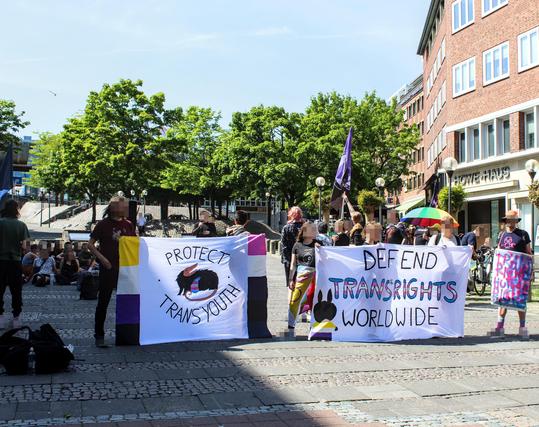 Bild von der Kundgebung auf dem Europaplatz. Mehrere Menschen halten Transpis. Auf dem einen steht Protect Trans Youth. Auf dem Transpi ist ein Opossum mit einem Opossumkind zu sehen dessen Fell die Farben Hellblau, Rosa und weiß hat. Auf dem Anderen Transpi steht Defent Transrights Worldwide