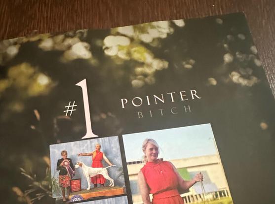 #1 pointer bitch