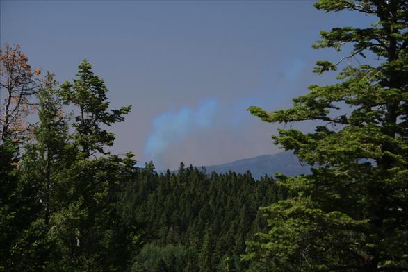 New forest fire start (approx 3:30PM Mountain Daylight time) vicinity of High Rolls, New Mexico