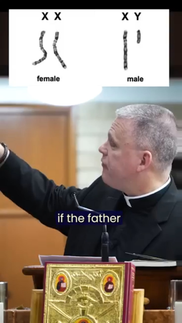 No Y chromosomes means no Earthly father