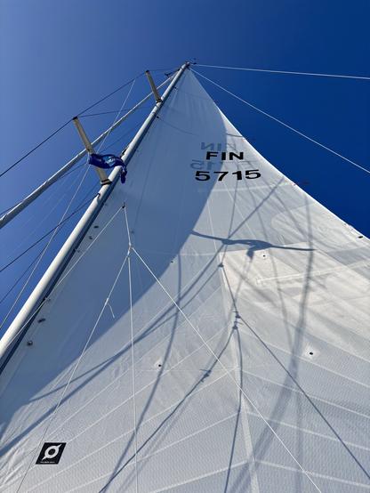 maestro 35 isopurje