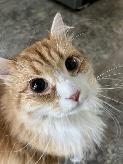 Gus with eyes as wide as saucers and on another astral plane.