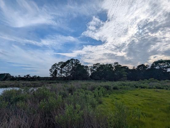 Photo of a calm afternoon on Harris Creek, sky is pale blue behind a low scudding cloud wrack. Wispy tendrils of cirrus ride high up in the sky. Marsh is green with riotous new growth. Creek water is rippled and reflects the sky and clouds.