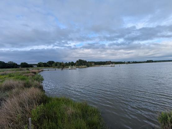 Photo of a calm afternoon on Harris Creek, sky is pale blue behind a low scudding cloud wrack. Wispy tendrils of cirrus ride high up in the sky. Marsh is green with riotous new growth. Creek water is rippled and reflects the sky and clouds.