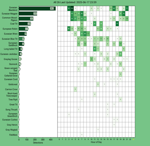Today's top 20 bird chart