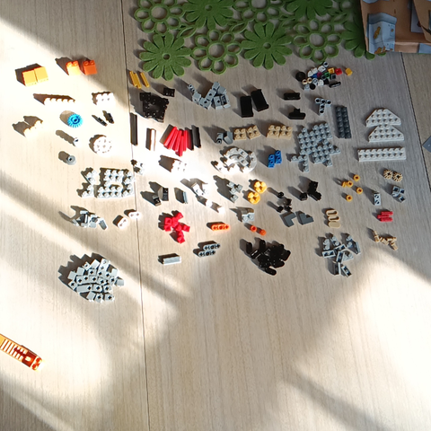a bag of Lego sorted by bricks on a table