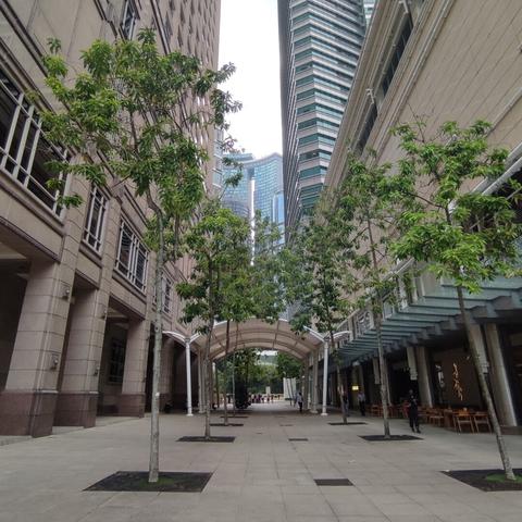 A side alley next to the PETRONAS twin towers in Kuala Lumpur, Malaysia. There are trees and tall buildings on either side.