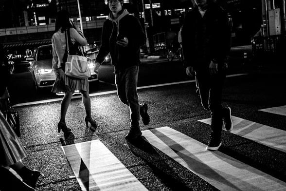 Siluetes de cames que travessen un pas de vianants il·luminat pels vehicles.