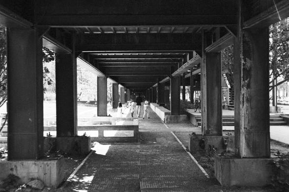 **English:**
This black-and-white image depicts a covered walkway or corridor with a series of evenly spaced columns supporting the roof. The perspective is from one end of the walkway, looking towards the other end where a few people can be seen walking. The walkway is paved and flanked by greenery on both sides, creating a serene and orderly atmosphere. The light filters through the structure, casting shadows and highlighting the architectural details.

**Chinese:**
这张黑白图片描绘了一个有顶棚的走廊或通道，一系列均匀间隔的柱子支撑着屋顶。视角从走廊的一端望向另一端，可以看到几个人在行走。走廊铺有路面，两侧绿树成荫，营造出宁静有序的氛围。光线透过结构，投下阴影并突出了建筑细节。