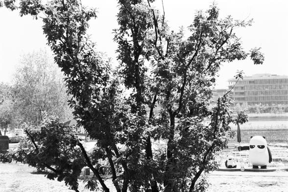 **English:**
This black-and-white image features a tree with sprawling branches in the foreground, partially obscuring the view. Behind the tree, there is a whimsical scene with two large panda sculptures, one of which appears to be sitting and holding a small object. The background includes a body of water and a large building, possibly indicating an urban park or a recreational area. The overall composition creates a playful and intriguing atmosphere.

**Chinese:**
这张黑白图片的前景是一棵枝叶繁茂的树，部分遮挡了视线。树后有一个充满奇思妙想的场景，有两个大熊猫雕塑，其中一个看起来坐着并拿着一个小物体。背景中有一片水域和一栋大楼，可能暗示着一个城市公园或休闲区。整体构图营造出一种有趣而神秘的氛围。