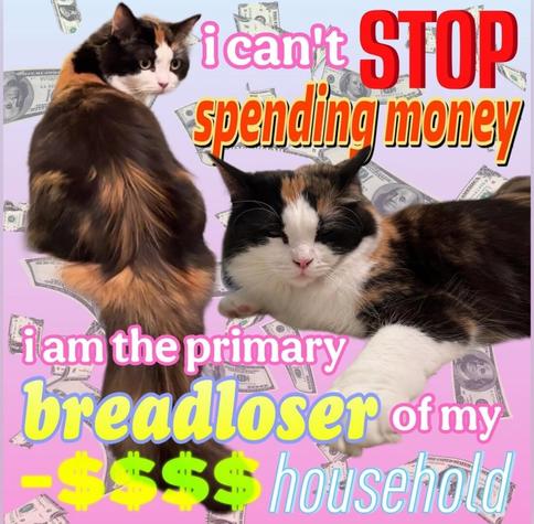 Two dramatic calico cats pose on a pastel background raining dollar bills. The meme text reads “i can’t STOP spending money” and “i am the primary breadloser of my -$$$ household.” It screams broke girl autumn, but with fur. Picture a cat commune funded entirely by impulse Amazon buys