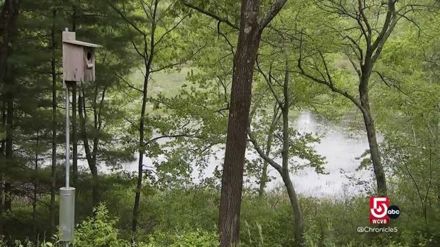 A former Boston Celtic’s dream home