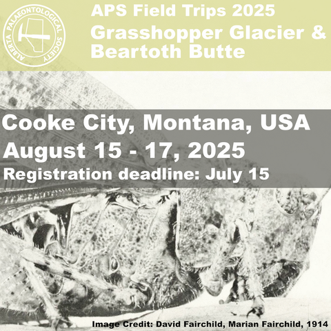 A poster for the event. The background is a very old black and white close-up picture of a locust.