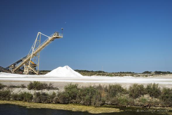 Salins ddu Midi