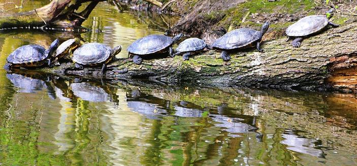 Traffic jam!
#myphoto