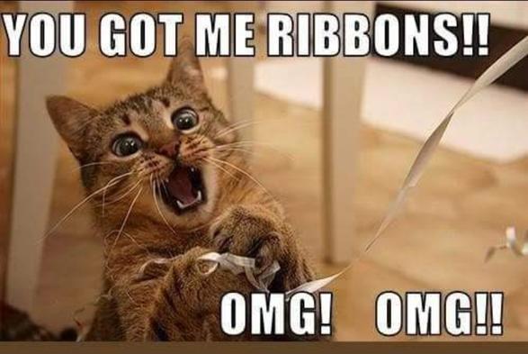 An adorable cat is happily playing with a piece of wrapping ribbon.  The meme text reads, "You got me ribbons!! OMG! OMG! "