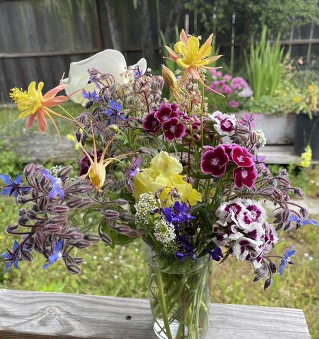 Borage, columbine, calla lily, coral bell, sweet william, snapdragon, lobelia, alyssum in a clear jar of water sit on a railing above the ground where we once had a deck (before boards rotted and were removed for safety).